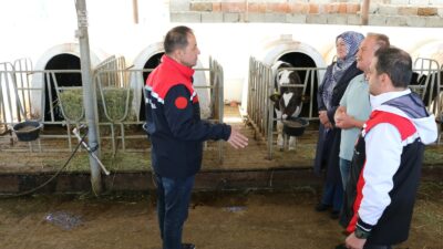 Erzincan, tarım ve hayvancılık sektörlerinde büyümesini sürdürüyor. Şehir genelinde yapılan