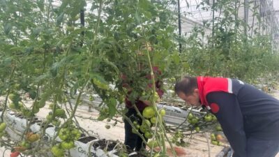 Erzincan İl Tarım ve Orman Müdürü Alper Koçaker, Akyazı Mahallesi’nde