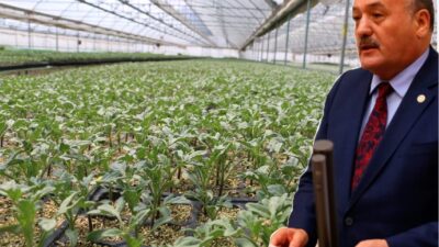 AK Parti Erzincan Milletvekili Süleyman Karaman, Erzincan’da seracılık alanında yaşanan