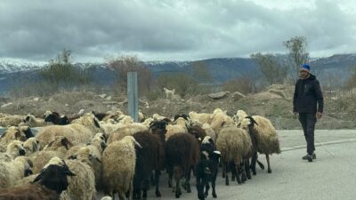 Erzincan’da bahar aylarının gelişi ile birlikte, kış boyunca kapalı alanda