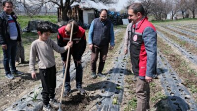 Erzincan Ovası, baharın gelişiyle birlikte yeniden canlanmaya başladı. Doğanın uyanışıyla