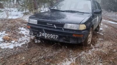 Erzincan’ın Refahiye ilçesine bağlı Aydoğan Köyü’nde, tarım teşkilatının hayvan sağlığına