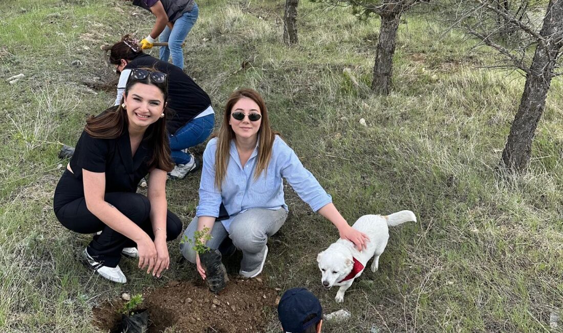 Cumhuriyet Halk Partisi Erzincan Kadın Kolları, artan kadın cinayetlerine dikkat