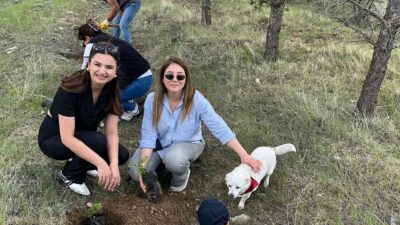 Cumhuriyet Halk Partisi Erzincan Kadın Kolları, artan kadın cinayetlerine dikkat
