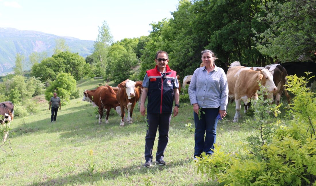Erzincan’ın Üzümlü ilçesine bağlı Ocakbaşı Köyü Muhtarı Asuman Akpolat, tarım