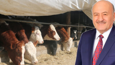 Tarım ve Kırsal Kalkınmayı Destekleme Kurumu (TKDK) Erzincan İl Koordinatörlüğü