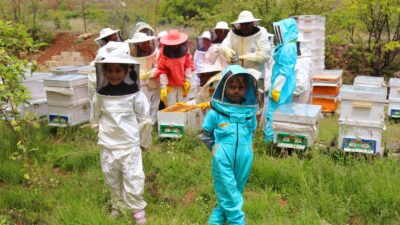 Erzincan, sahip olduğu iklim koşulları ve zengin bitki örtüsüyle arıcılık