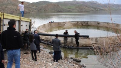 Erzincan’ın Tercan ilçesinde bulunan Tercan Baraj Gölü, tarım ve enerji