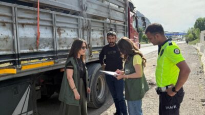 Erzincan’ın Tercan ilçesinde, yaklaşan Kurban Bayramı öncesinde kurbanlık hayvan sevkiyatları