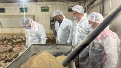 Erzincan, hayvancılık sektöründe önemli bir adım daha atarak, kanatlı sektöründe