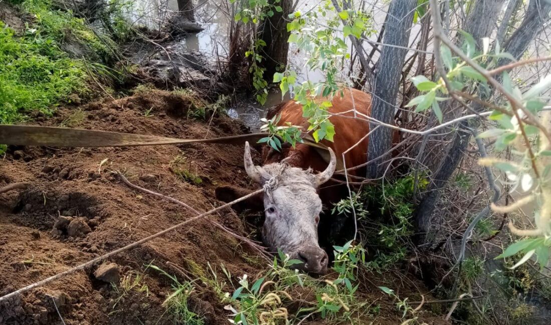 Erzincan’da duyarlı vatandaşların 112 Acil Çağrı Merkezi’ne yaptığı ihbar üzerine