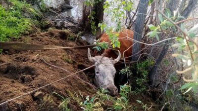 Erzincan’da duyarlı vatandaşların 112 Acil Çağrı Merkezi’ne yaptığı ihbar üzerine