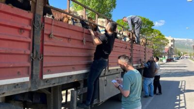 Erzincan’ın Çayırlı ilçesinde İlçe Tarım ve Orman Müdürlüğü ekipleri, Kurban