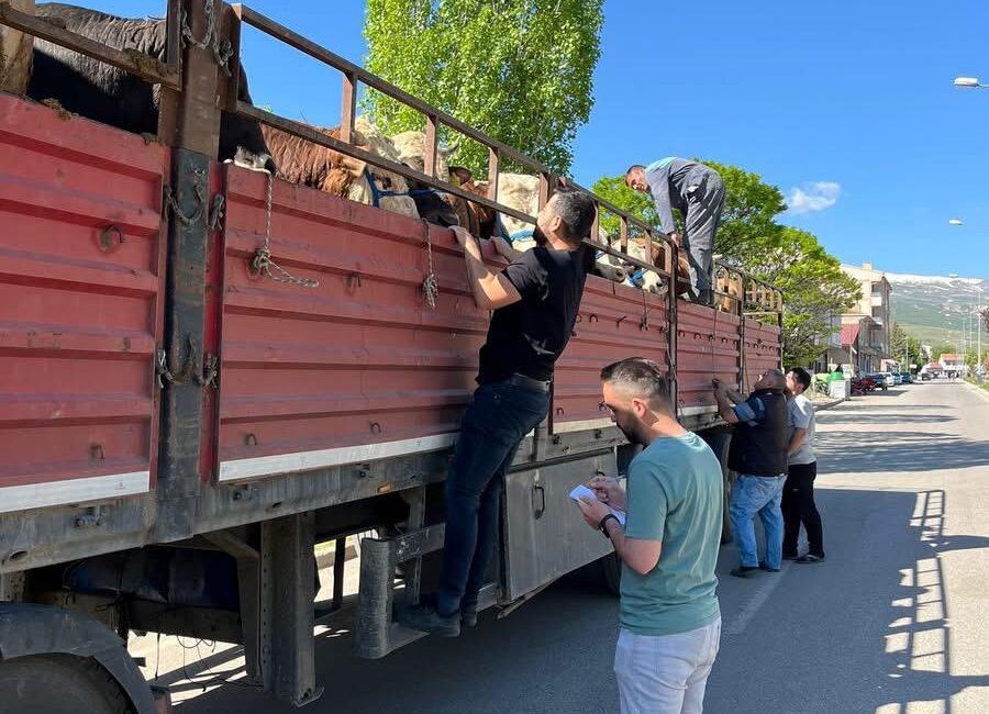 Erzincan’ın Çayırlı ilçesinde İlçe Tarım ve Orman Müdürlüğü ekipleri, Kurban