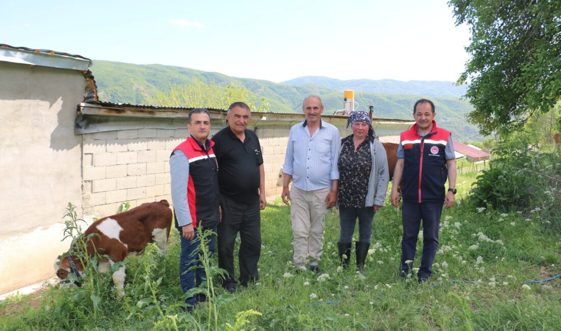 Erzincan tarım sektörü her geçen gün daha da renkleniyor ve