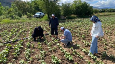 Tarım ve Orman Bakanlığı tarafından yürütülen ve kısaca TAKE olarak