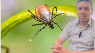 Erzincan Veteriner Hekimler Odası Başkanı İsmail Özgür İlhan, havaların ısınmasıyla