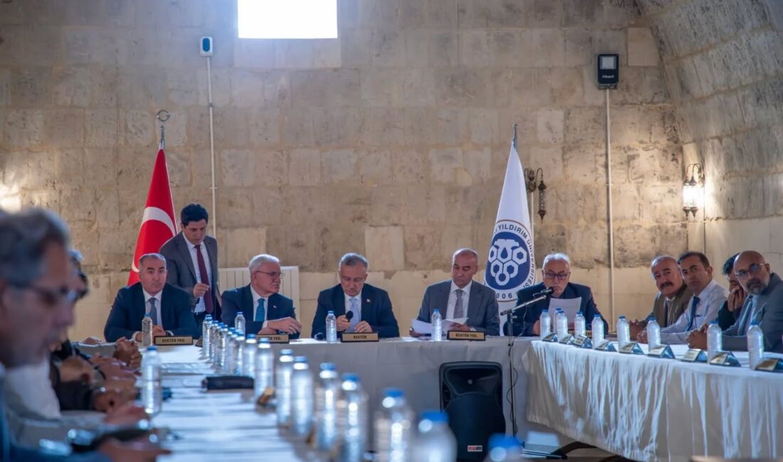 Erzincan Binali Yıldırım Üniversitesi (EBYÜ) Senatosu ve Yönetim Kurulu, bu
