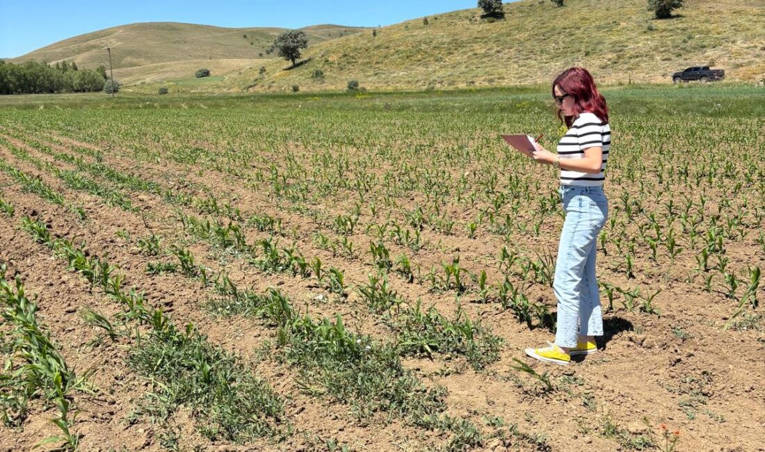 Erzincan’ın Otlukbeli ilçesinde Tarım ve Orman İlçe Müdürlüğü tarafından 2025