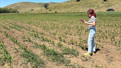 Erzincan’ın Otlukbeli ilçesinde Tarım ve Orman İlçe Müdürlüğü tarafından 2025