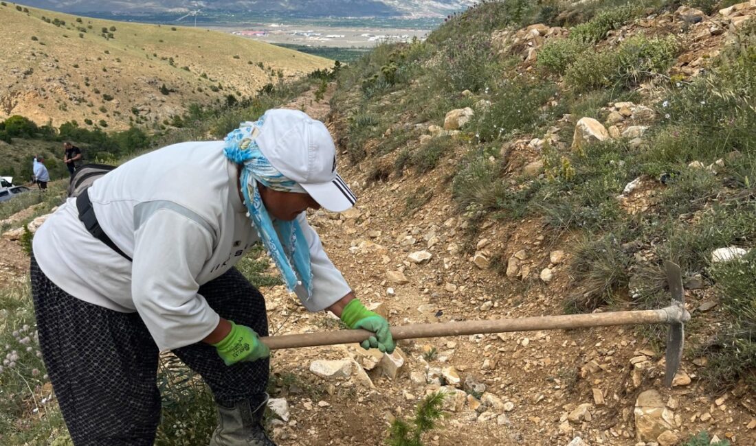 Erzincan’ın yemyeşil dağlarında hayat bulan fidanların ardında, görünmeyen ama büyük