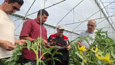 Tarım ve Orman Bakanlığı’nın 2025 yılını “Pestisit Kalıntısı ile Mücadele