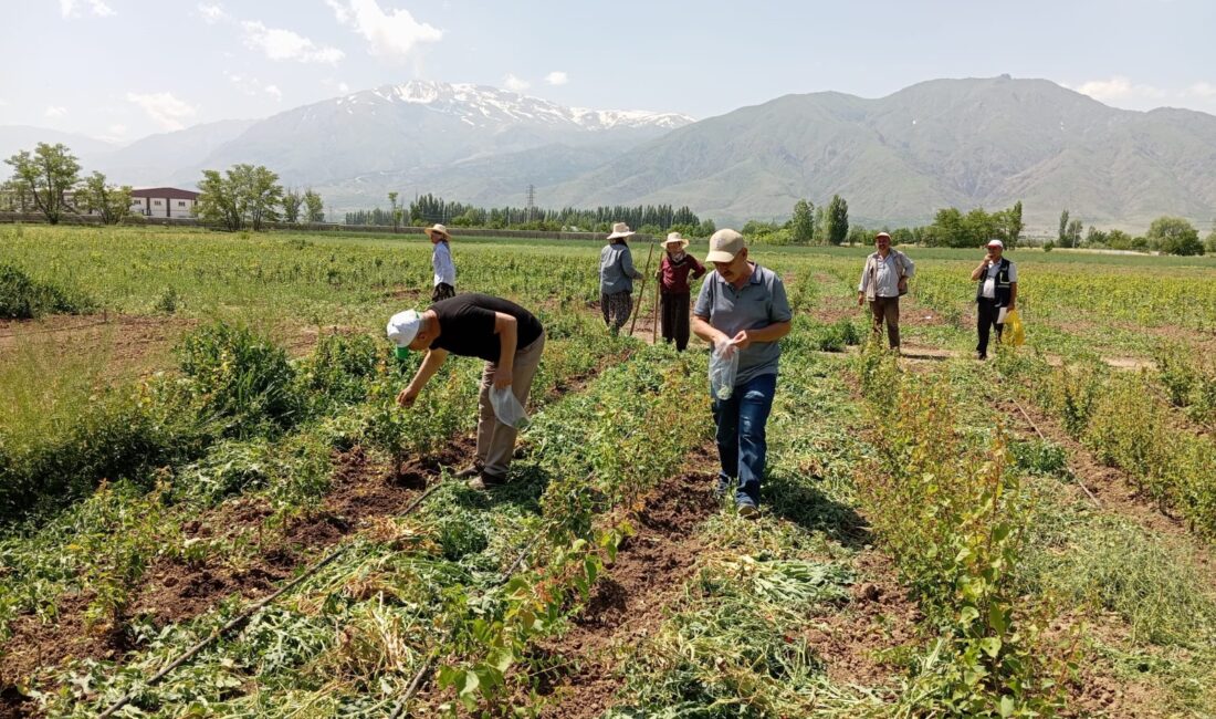 Erzincan’da tarım sezonunun başlamasıyla birlikte, Erzincan Tarım ve Orman İl