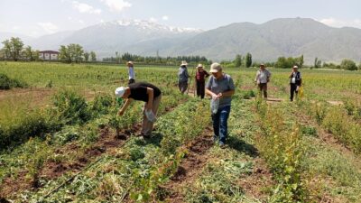 Erzincan’da tarım sezonunun başlamasıyla birlikte, Erzincan Tarım ve Orman İl
