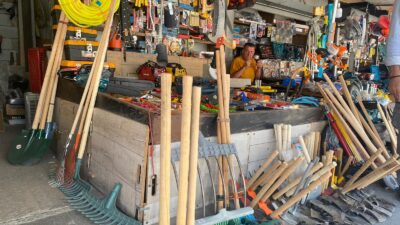 Yaz mevsiminin gelmesiyle birlikte Erzincan’da bağ ve bahçelerde hareketlilik başladı.