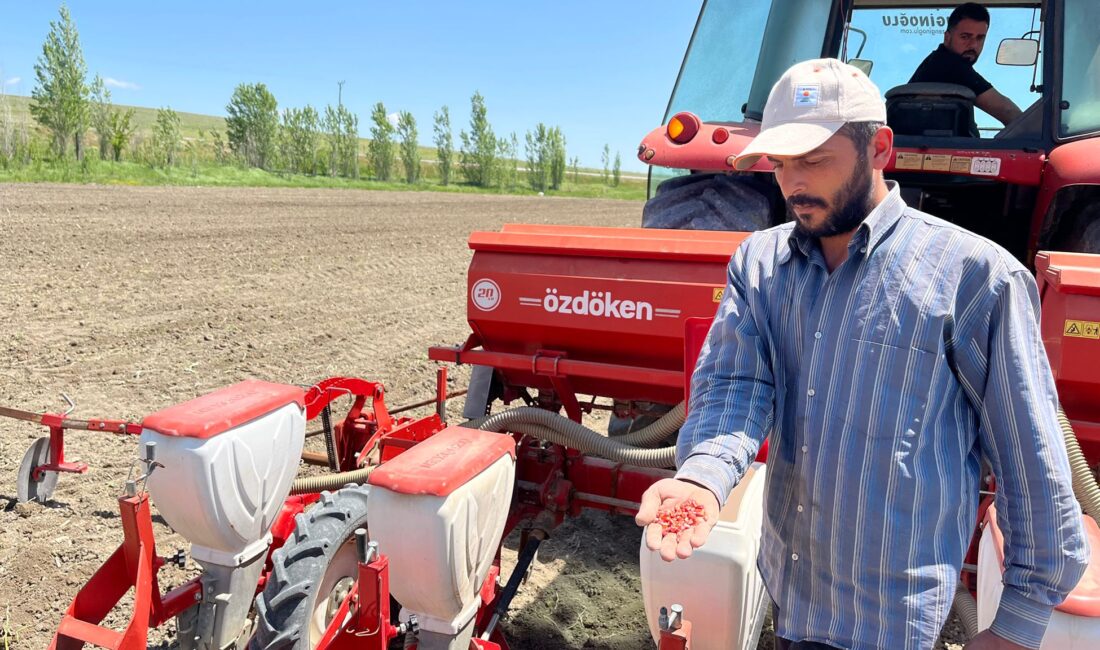 Erzincan’ın Çayırlı ilçesine bağlı Harmantepe köyünde çiftçi Ramazan Arduç, 35