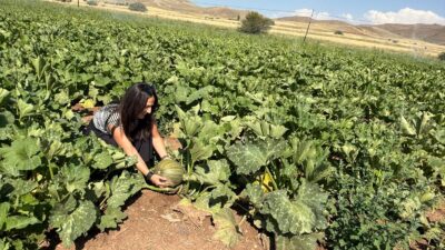 Erzincan’ın önemli tarım merkezlerinden biri olan Tercan ilçesi, tarımsal ürün