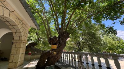 Erzincan’ın Kemaliye ilçesi Ocak Köyü’nde 1261 yılında dikildiği tahmin edilen