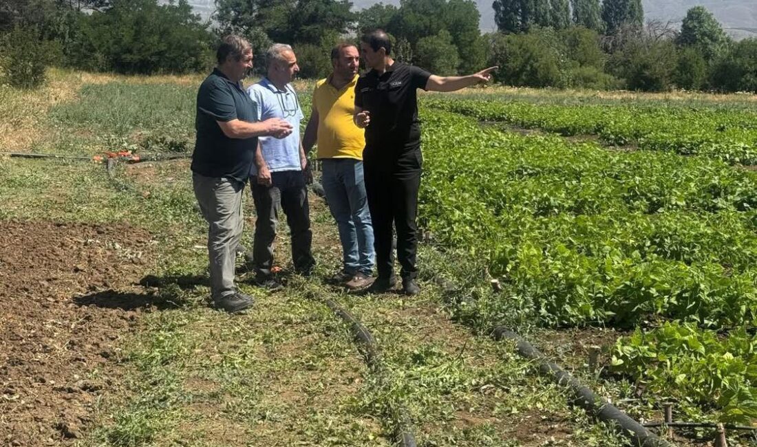Erzincan Bahçe Kültürleri Araştırma Enstitüsü yetkilileri, kuru fasulye araştırma ve