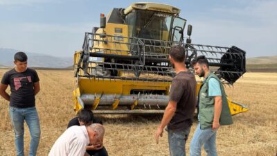 Erzincan’ın Tercan ilçesinde hububat hasadının başlamasıyla birlikte, tarlalarda hummalı bir