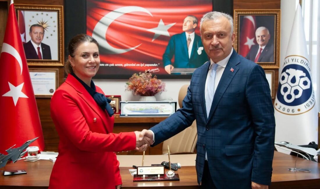 Erzincan Binali Yıldırım Üniversitesi’nde geçtiğimiz aylarda kurulan Yabancı Diller ve