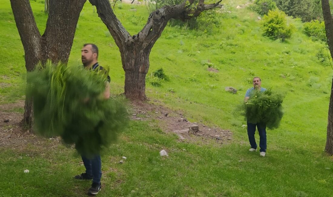 Erzincan’da doğadan ilham alan bilimsel bir çalışma, tarım alanlarında zararlılara