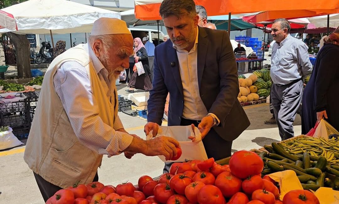 AK Parti Erzincan İl Başkanı Alpay Kabadayı, kent merkezinde kurulan