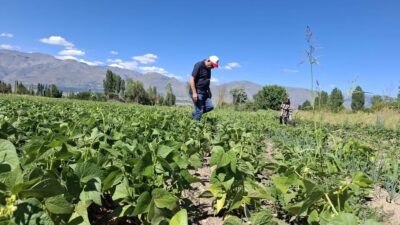 Erzincan Tarım ve Orman İl Müdürlüğü, TAKE Projesi kapsamında çiftçilere