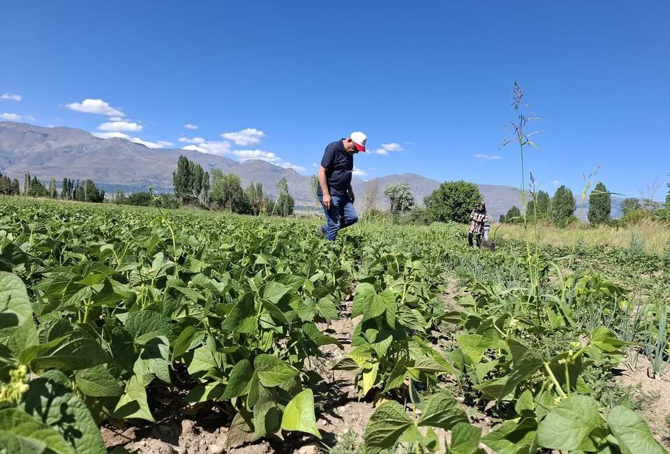 Erzincan Tarım ve Orman İl Müdürlüğü, TAKE Projesi kapsamında çiftçilere