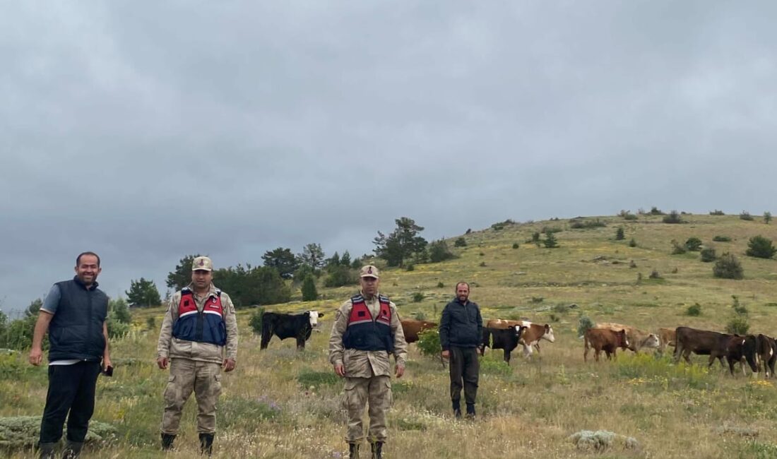 Erzincan’ın Refahiye ilçesine bağlı Çatak köyünde ikamet eden İsa Palut’a