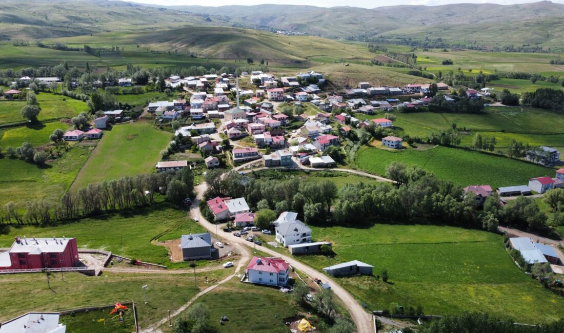 Kelkit’e bağlı Öğütlü Köyü’nde bu yıl ilk kez düzenlenecek olan