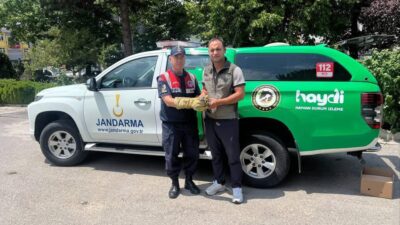 Erzincan’ın Üzümlü ilçesine bağlı Bayırbağ köyünde devriye görevi yürüten İl