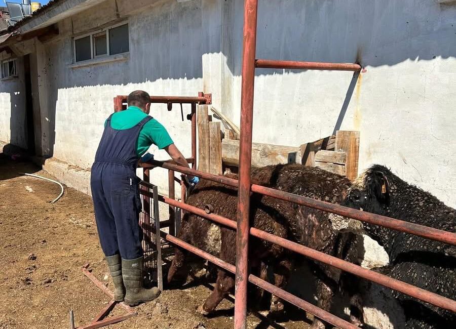 Erzincan’ın Refahiye ilçesinde Tarım ve Orman Müdürlüğü ekipleri, geniş bir
