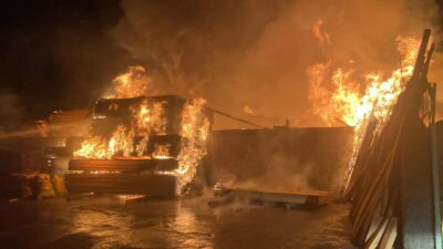 Erzincan’ın Karaağaç Mahallesi 794. Sokak’ta bulunan bir kereste deposunda çıkan