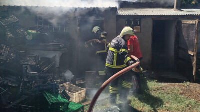 Haber: Muhammed Enes Sevilir Erzincan’ın İzzetpaşa Mahallesi’nde bir evin bahçesinde
