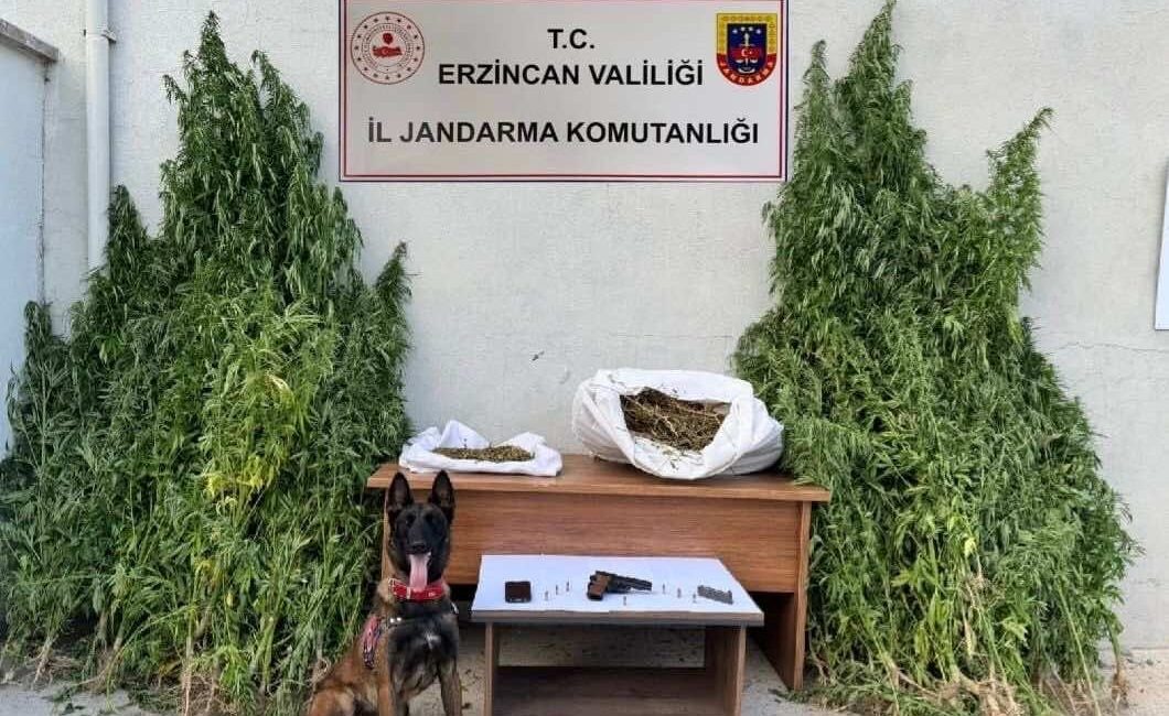 Erzincan İl Jandarma Komutanlığı, uyuşturucu madde üretimi ve ticaretine yönelik