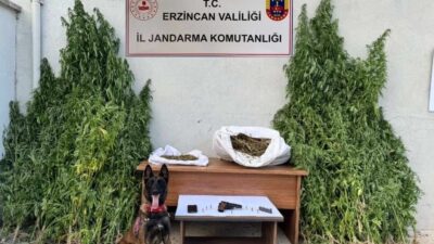 Erzincan İl Jandarma Komutanlığı, uyuşturucu madde üretimi ve ticaretine yönelik