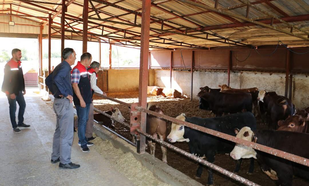 Erzincan Tarım ve Orman İl Müdürü Alper Koçaker, Çayırlı ilçesine
