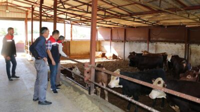Erzincan Tarım ve Orman İl Müdürü Alper Koçaker, Çayırlı ilçesine