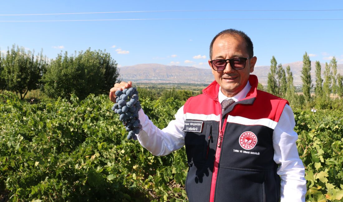 Erzincan Tarım ve Orman İl Müdürü Alper Koçaker, Erzincan merkeze